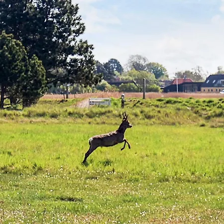 Casa vacanze On A In